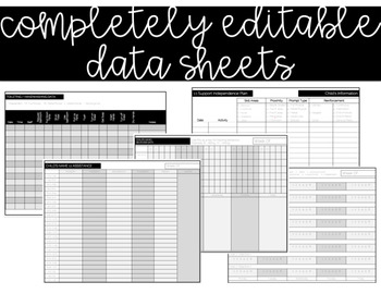 Preview of EDITABLE DATA SHEETS