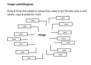 Preview of EDITABLE Diagram Label Template - Drag & Drop Google Doc