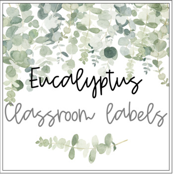 Preview of EDITABLE Eucalyptus Classroom Labels - tubs, containers, desk plates