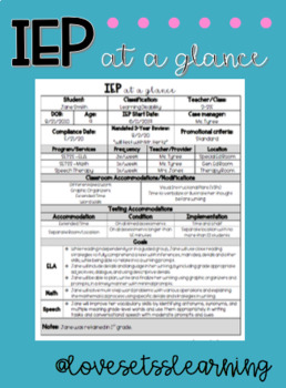 Preview of EDITABLE IEP at a glance / IEP Snapshot