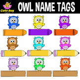 EDITABLE Name Tags / Name labels - Owls in the Classroom| 
