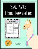 EDITABLE Newsletters in Llama Theme