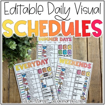 Preview of Summer Visual Schedules & Daily Activities - EDITABLE with MOVEABLE Images