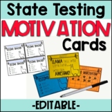 EDITABLE State Testing Motivator & Tracker 3rd 4th 5th Grade