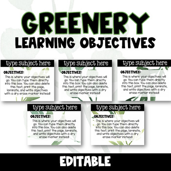 Preview of EDITABLE Succulent Learning Objectives Display