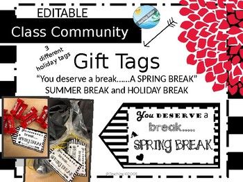 Preview of EDITABLE Tags for Spring Break /Holiday / Summer