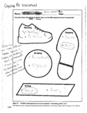 EDTPA Focus Student 2 Results Example