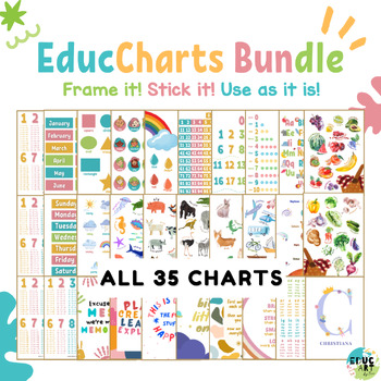 Preview of EDUCATIONAL CHARTS / POSTERS / LAMINATE AND STICK