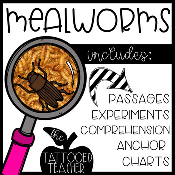 Preview of EEW! Mealworms || a life cycle unit for budding biologists