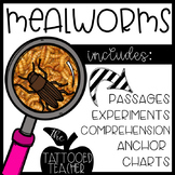 EEW! Mealworms || a life cycle unit for budding biologists