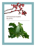EFFICACIOUS PLANTS 1