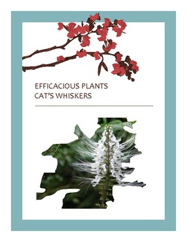 Preview of EFFICACIOUS PLANTS 11