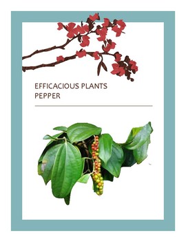 Preview of EFFICACIOUS PLANTS 12