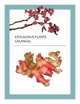 Preview of EFFICACIOUS PLANTS 13