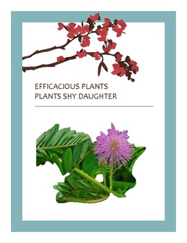 Preview of EFFICACIOUS PLANTS 19