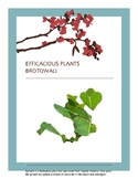 EFFICACIOUS PLANTS 2