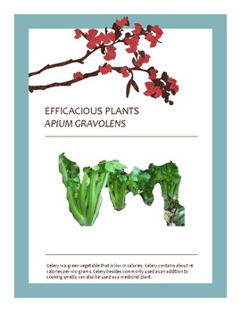 Preview of EFFICACIOUS PLANTS 21