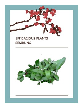 Preview of EFFICACIOUS PLANTS 23