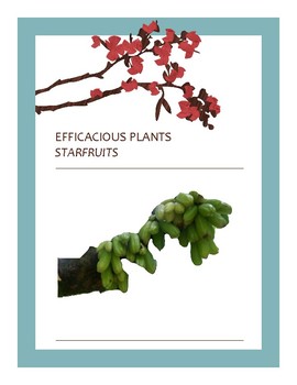 Preview of EFFICACIOUS PLANTS 27