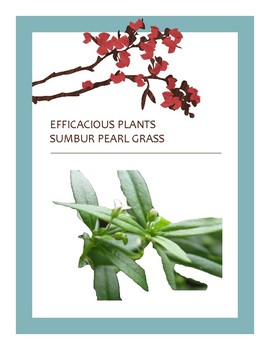 Preview of EFFICACIOUS PLANTS 28