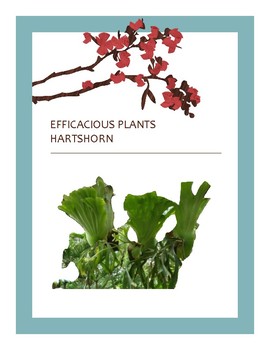 Preview of EFFICACIOUS PLANTS 29