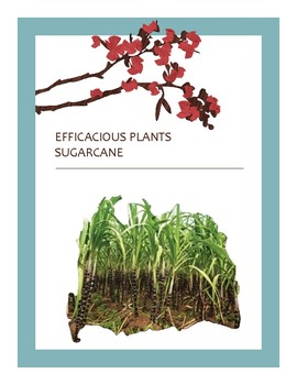 Preview of EFFICACIOUS PLANTS 31
