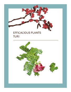 Preview of EFFICACIOUS PLANTS 35