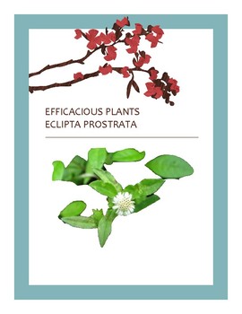Preview of EFFICACIOUS PLANTS 37