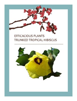 Preview of EFFICACIOUS PLANTS 38