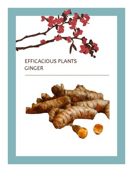 Preview of EFFICACIOUS PLANTS VIII