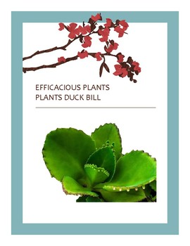 Preview of EFFICACIOUS PLANTS XXV