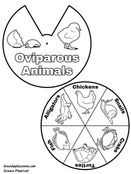 egg laying animals for kids