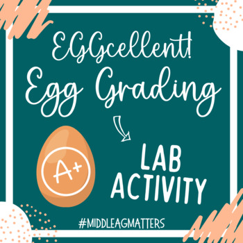 Preview of EGGcellent! Egg Grading Lab Activity