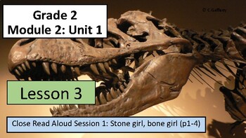 Preview of EL 2nd Grade - Module 2, Unit 1 - Lesson 3 - Close Read, Stone Girl, Bone Girl.