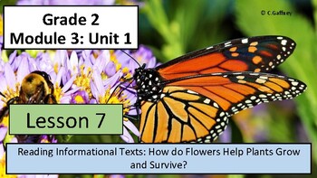 Preview of EL 2nd Grade - Module 3, Unit 1 - Lesson 7 - Plant Growth and Survival