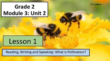 Preview of EL 2nd Grade - Module 3, Unit 2 - Lesson 1 - What is Pollination?