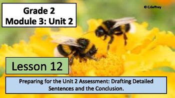 Preview of EL 2nd Grade - Module 3, Unit 2 - Lesson 12 -Drafting an Informational Paragraph