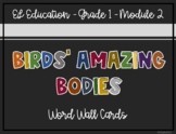 EL Education - Grade 1 - Module 3 - Birds' Amazing Bodies