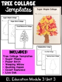 EL Education  Kindergarten Module 3 Unit 3 Tree Collage Templates