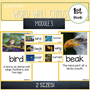 EL Education Kindergarten  Word Wall Cards FOR THE YEAR – Cowie's Kinders  Shop