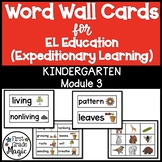 EL Education Word Wall Cards Module 3 Kindergarten