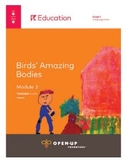 EL Grade 1 Module 3: Birds' Amazing Bodies