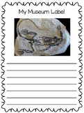 EL Museum Labels - Fossils