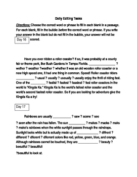 Preview of FSA ELA Test Daily Grammar Editing Tasks Practice Days 16-20