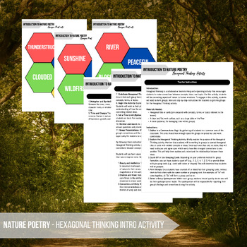 Preview of ELA Nature Poetry - Hexagonal Thinking Activity