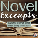 ELA Novel Excerpts and Analysis Questions - 7 Famous Novels