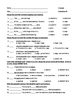 ela possessive nouns pronouns practice worksheet 2 by write noise