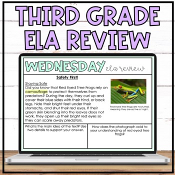Preview of ELA Spiral Review Third Grade - YEARLONG review EDITABLE