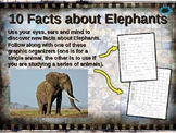 ELEPHANTS: 10 facts. Fun, engaging PPT (w links & free gra