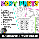 ELL/ESL Body Parts - Flashcards & Worksheets ELL & ESL Resources